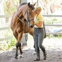 Leanne walking Rodney around in-hand with inside bend to encourage him into self carriage while working on pushing from his hind legs