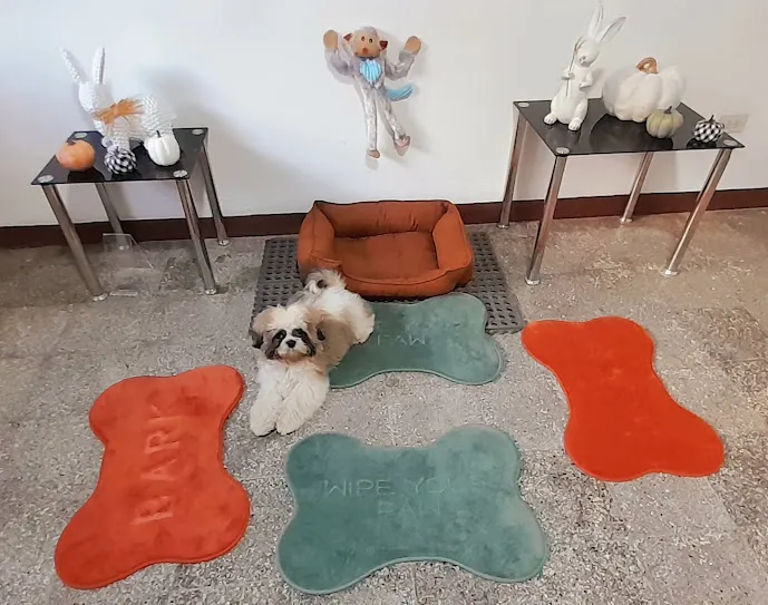 Little Woof San Lucas Sacatepequez Hotel Boutique para perritos de raza pequeña