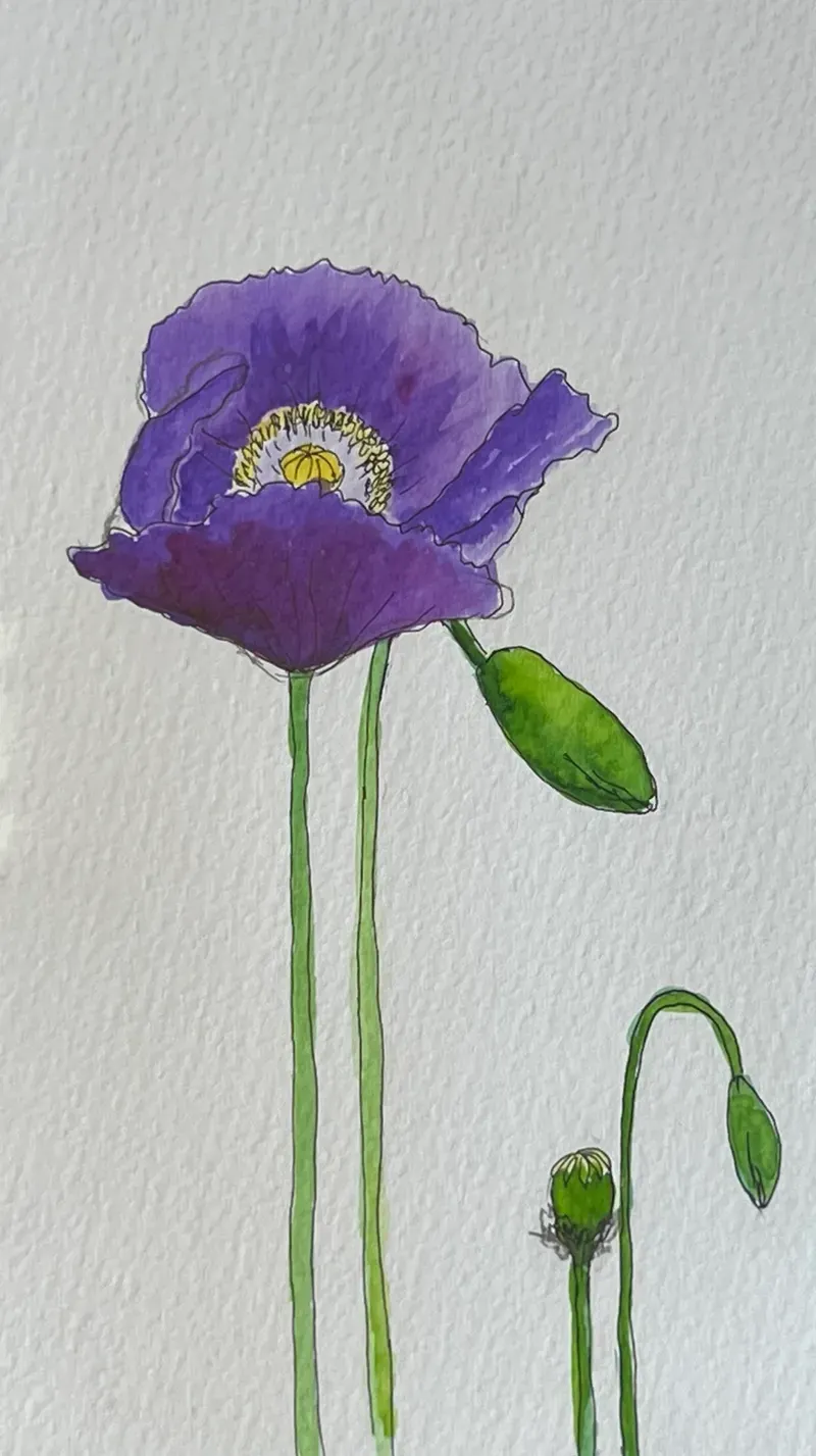 bianca-rathgeb-blume-illustration