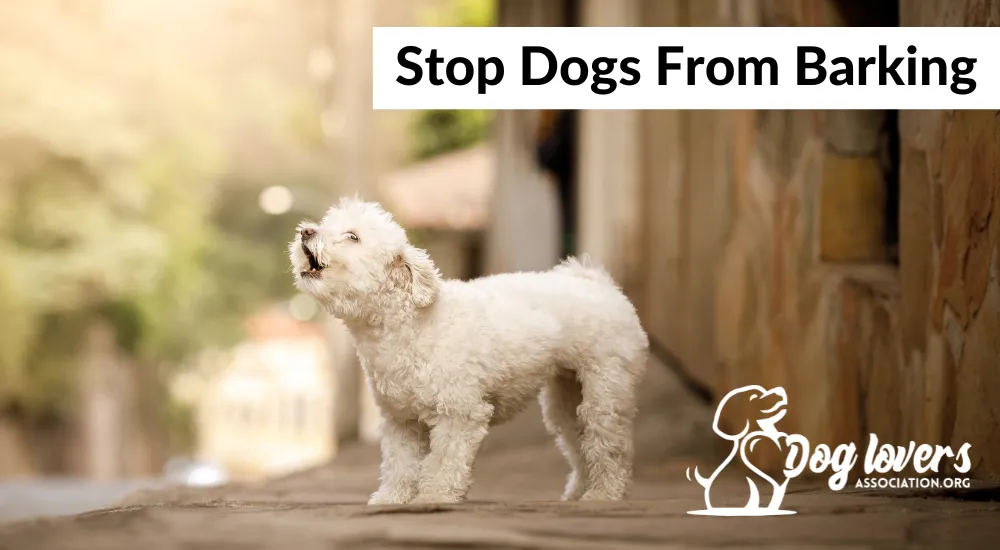 Dog Lovers Association - Stop Dog Barking