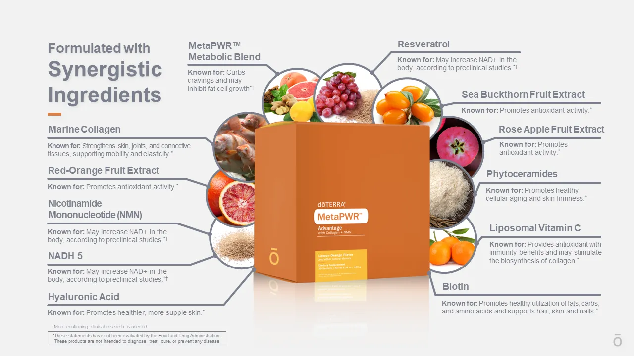 Holistic view of all ingredients within MetaPWR Advantage that work synergistically