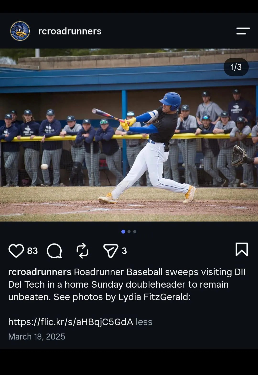 RCSJ Baseball