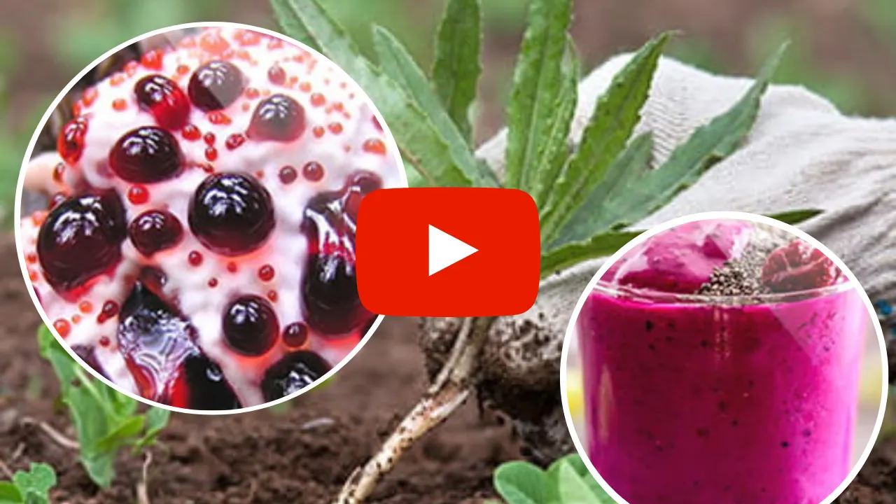 Purple weight loss tonic
