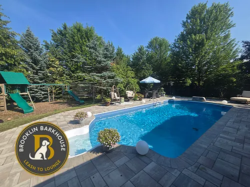 Brooklin Barkhouse yard showing retangular in-ground pool 