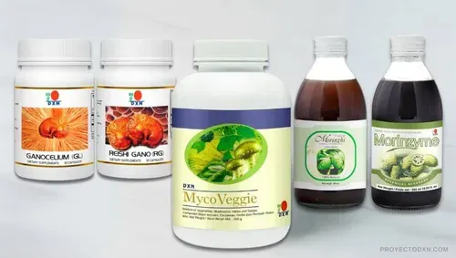 Frascos de RG, GL con Mycoveggie, Morinzhi y Morynzyme son los productos mas adecuados para una buena salud digestiva
