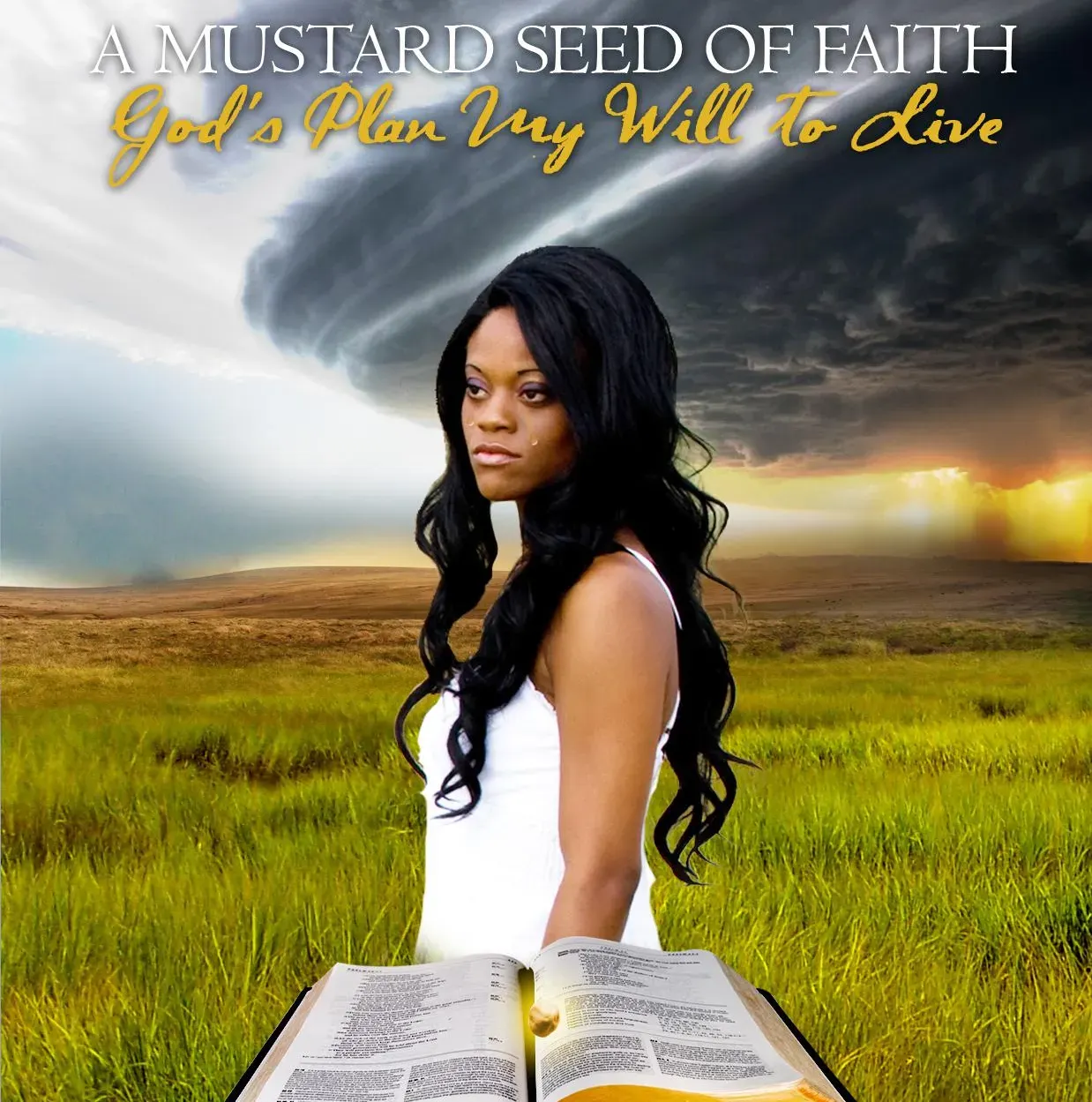 a mustard seed of faith 