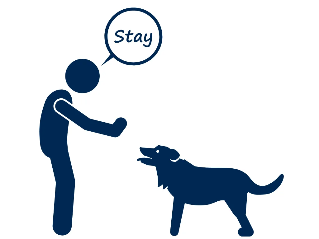 stay online training course newmans dog training potty training