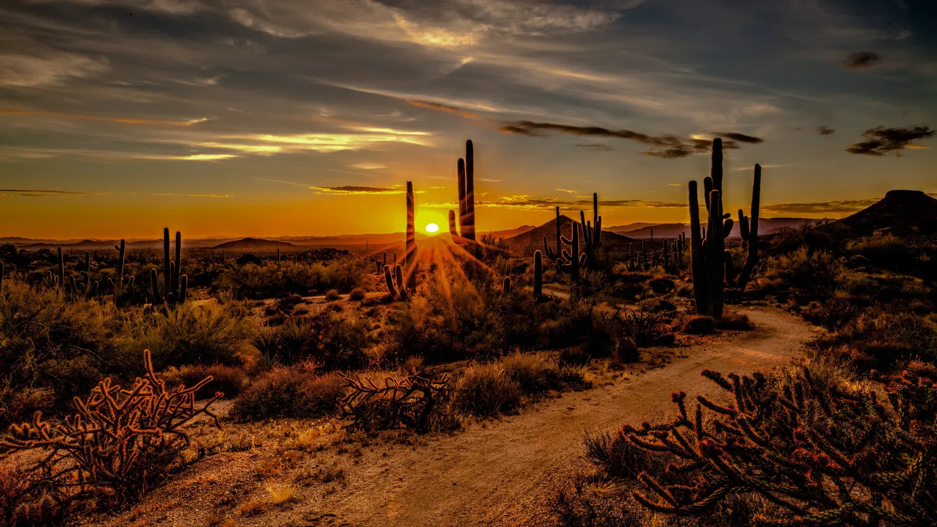 Scottsdale - Arizona