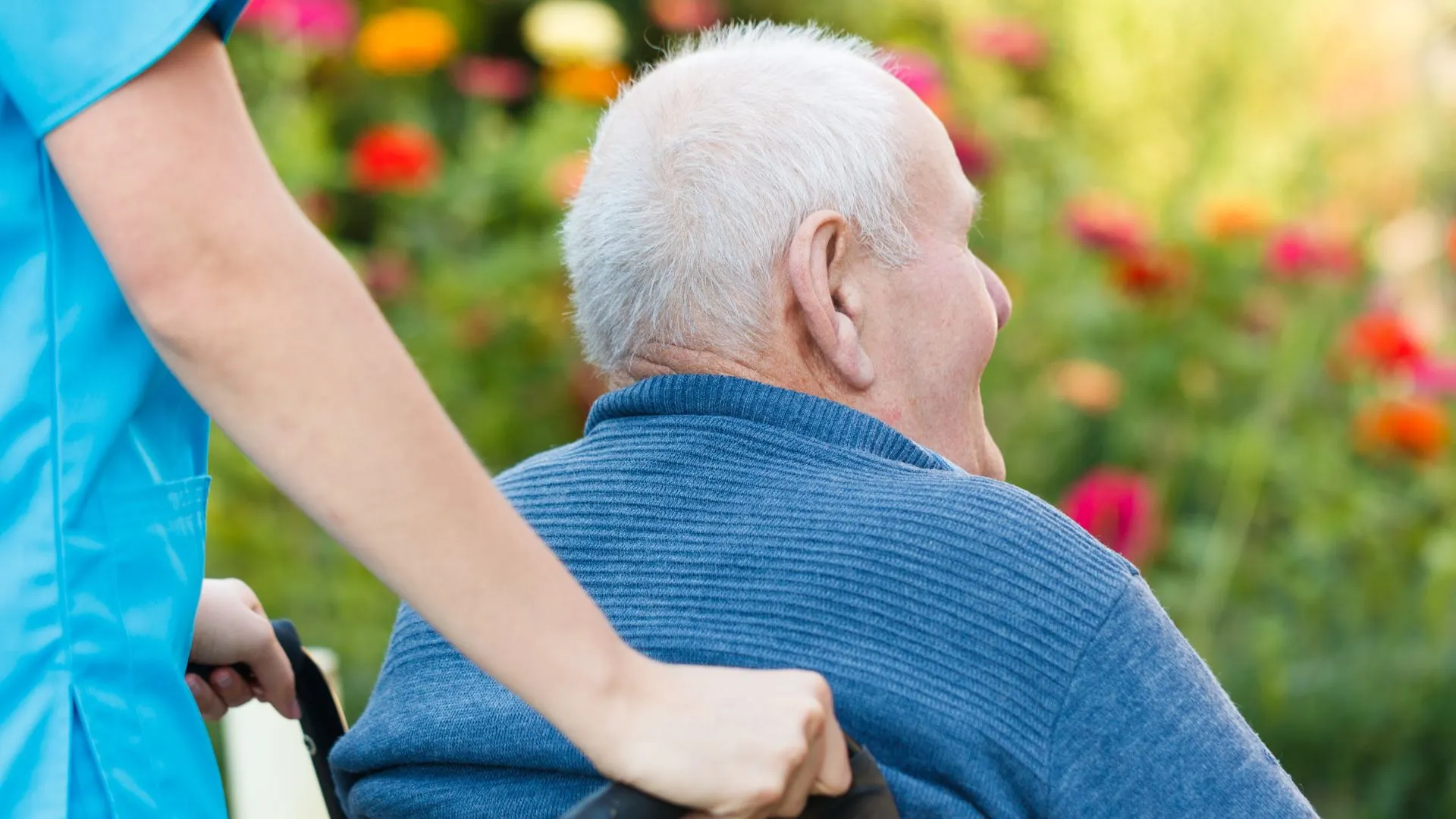 transitional Michigan medical 