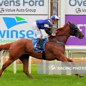 Beautiful race horse and jockey galloping at the races