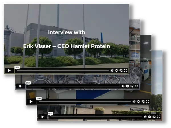 Ceo interviews