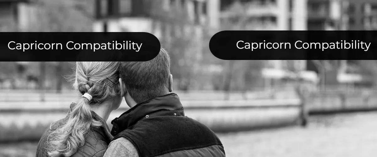 are capricorn and capricorn compatible