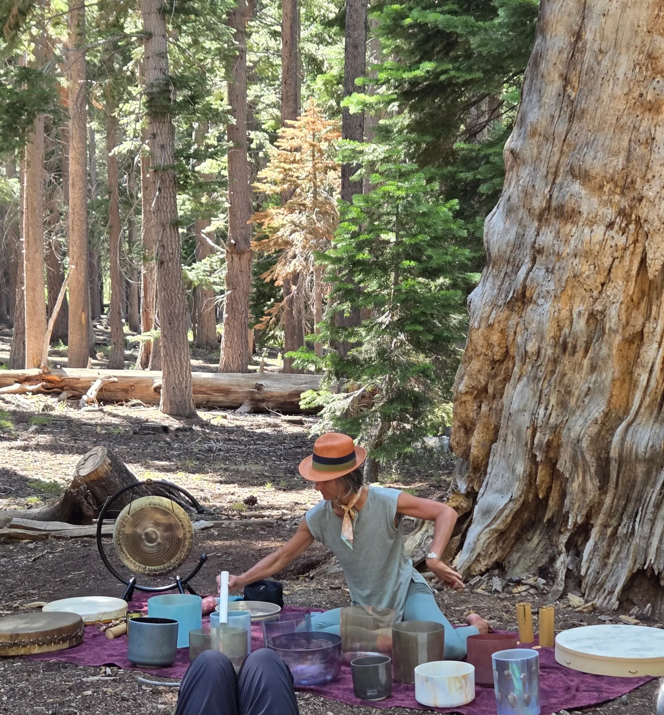Private Sound Bath at a Home in Mammoth Lakes, CA