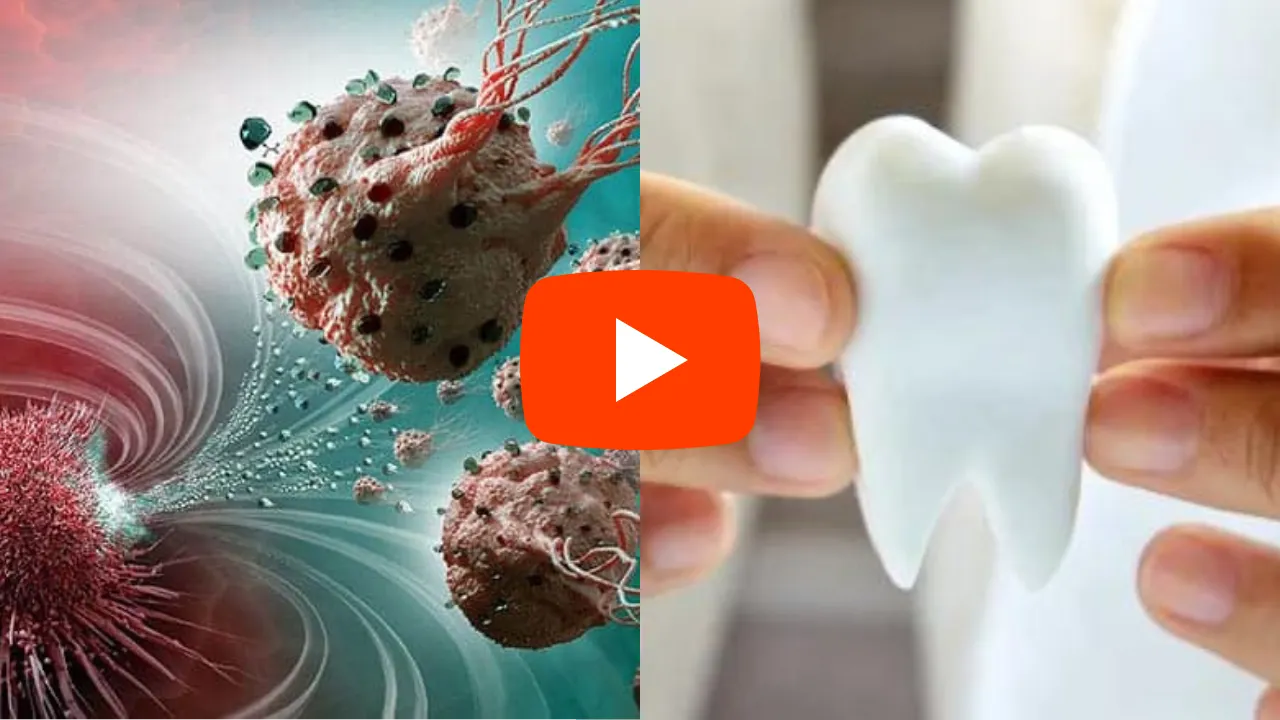 bacteria for teeth