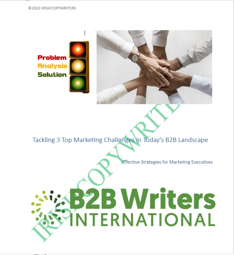 B2B WRITERS INTL WHITE PAPER 