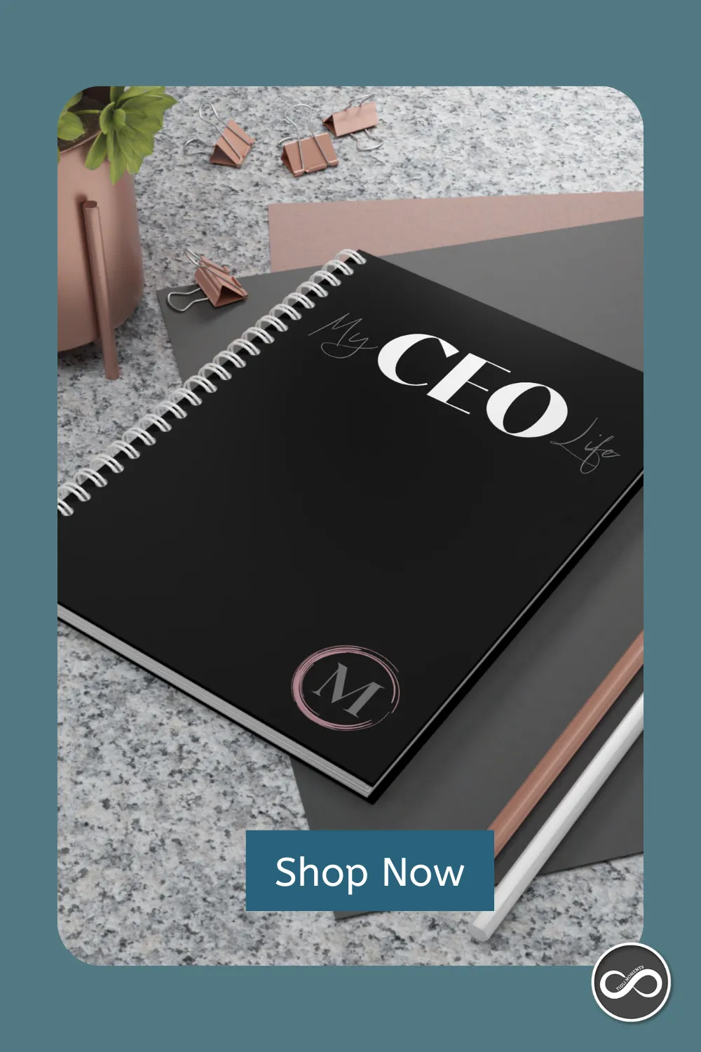 My CEO Life Notebook-Journal - TIOLI Moments