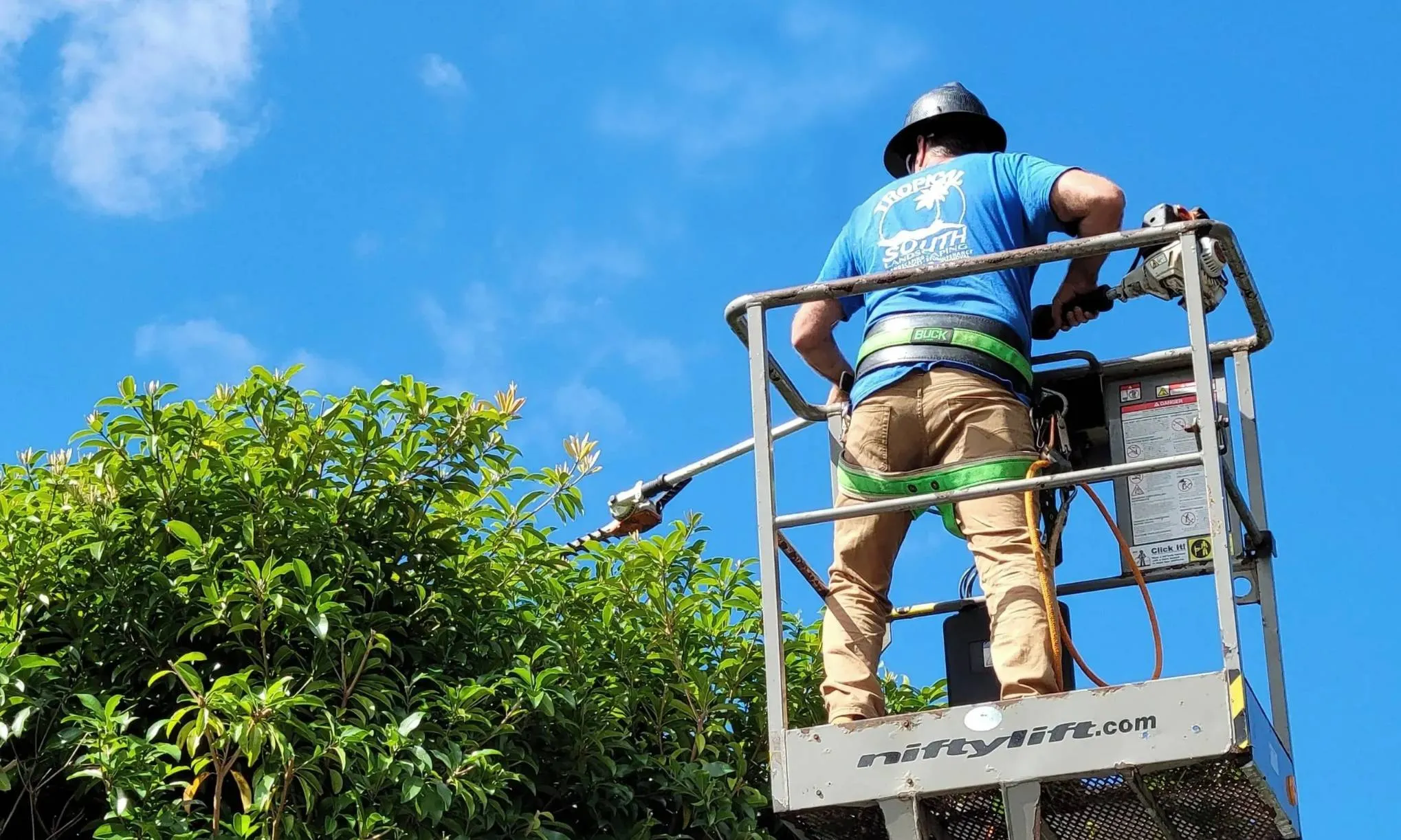 Tropical South Tree Service Owner - Rafael