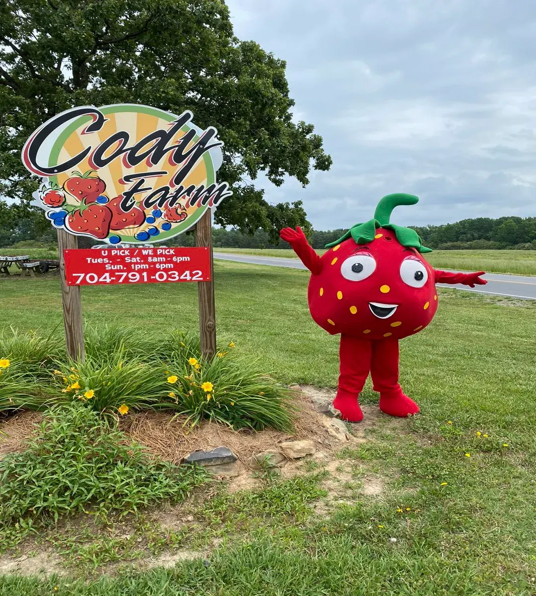 Cody Strawberry Farm