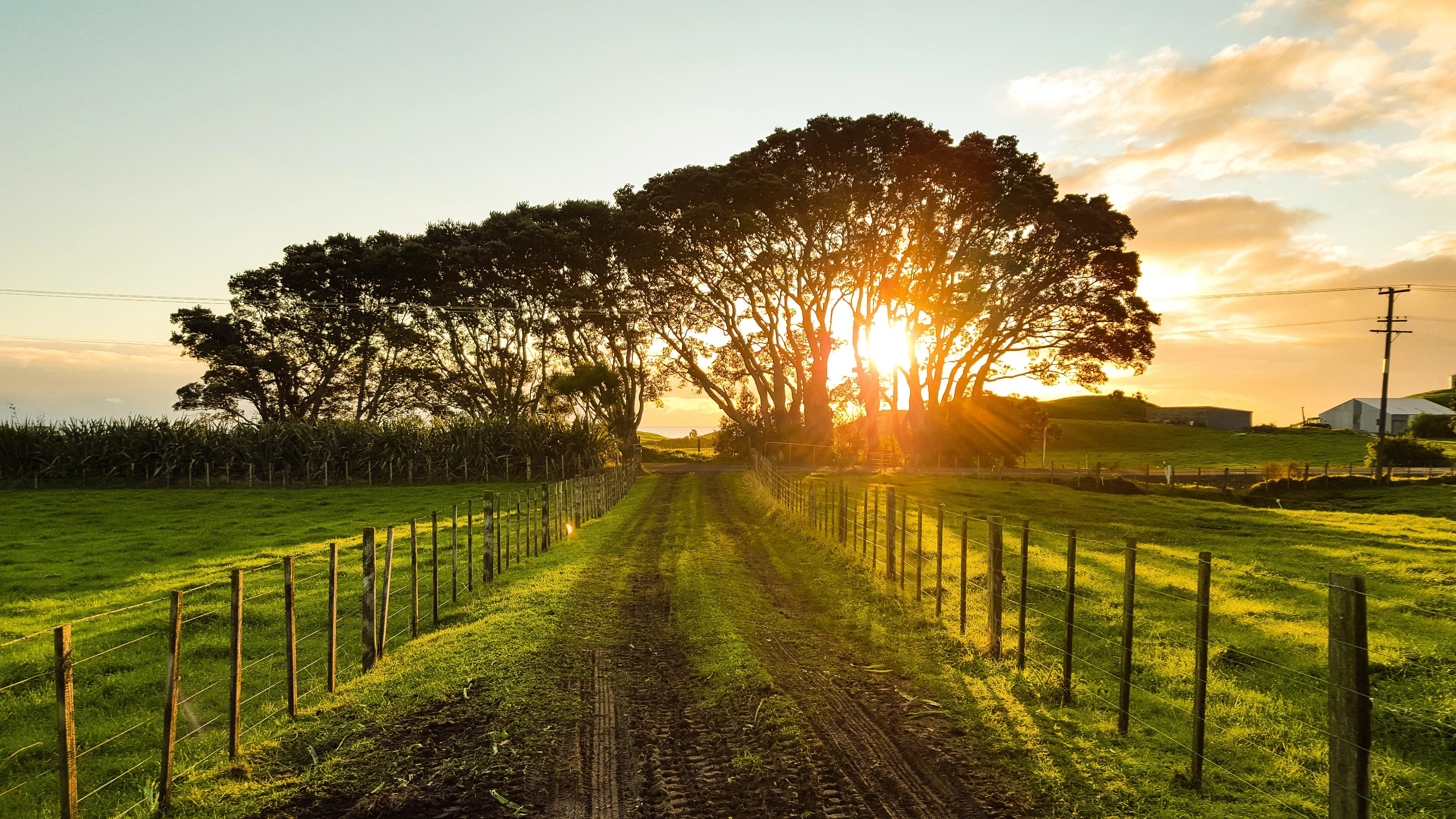 farm road