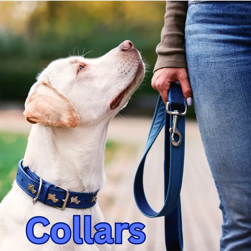 Custom made in usa dog collar manufacturer