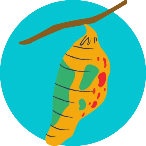 Yellow Cacoon