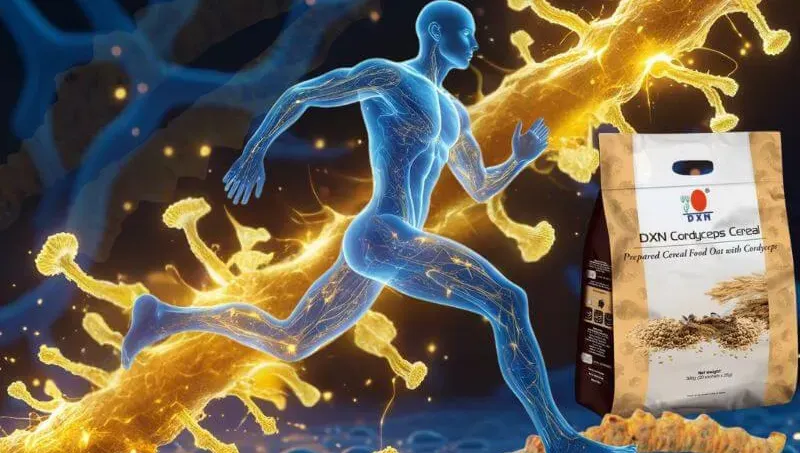 Visualización conceptual de la energía celular: una silueta atlética recibe energía de un hongo Cordyceps de DXN, iluminando sus células para una mayor vitalidad y resistencia.